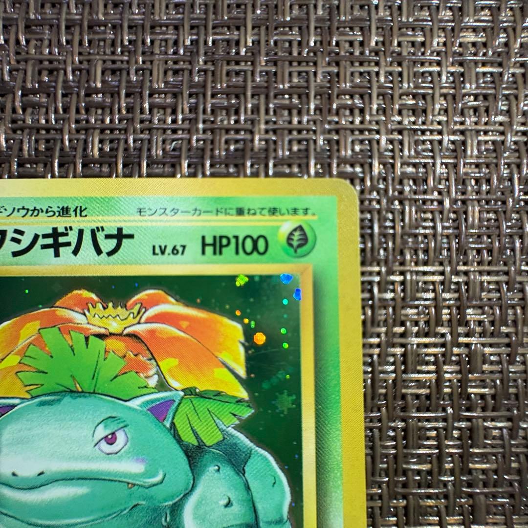 ポケモンカード 旧裏 フシギバナ　初版