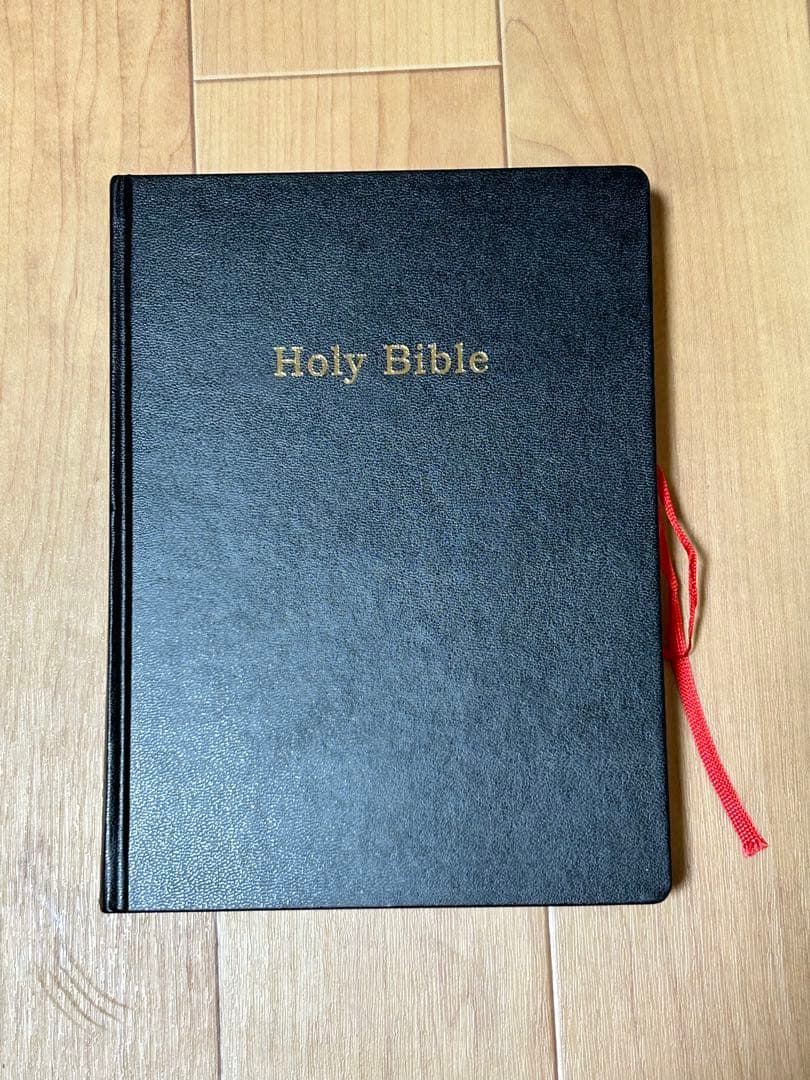 Holy Bible 写真集。Mack