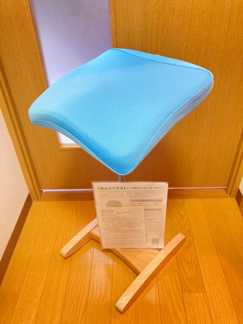 ☆ Balans Synergy バランス シナジー 姿勢矯正 サカモトハウス