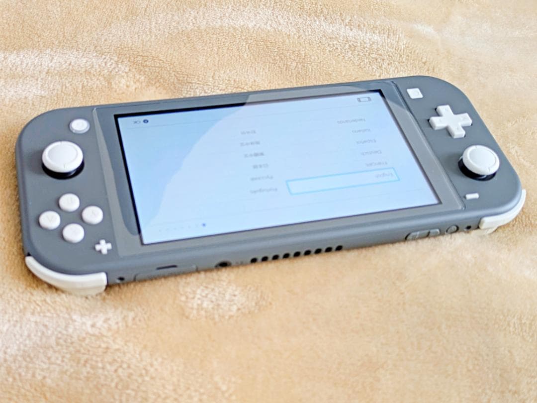 『Nintendo Switch Liteグレー』ケース+128GBメモリカード