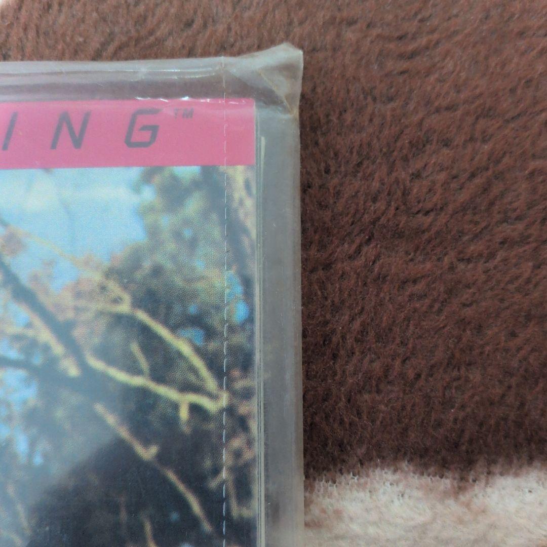 ザ・オールマン・ブラザーズ「BROTHERS AND SISTERS」