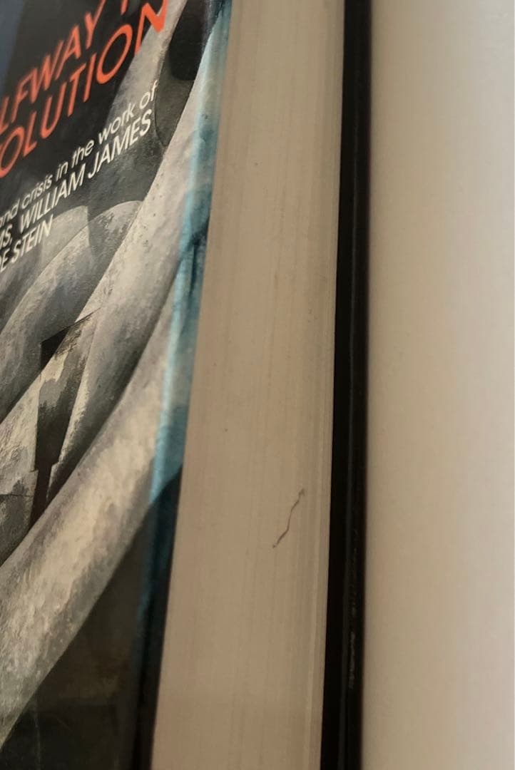 語学・辞書・学習参考書 Halfway to Revolution