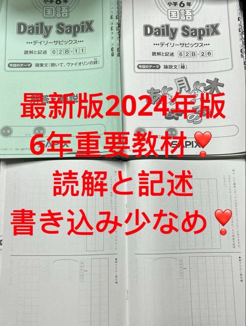 ㉔ひ　サピックス　SAPIX 6年　国語　読解と記述　一年分　ディリーサピックス