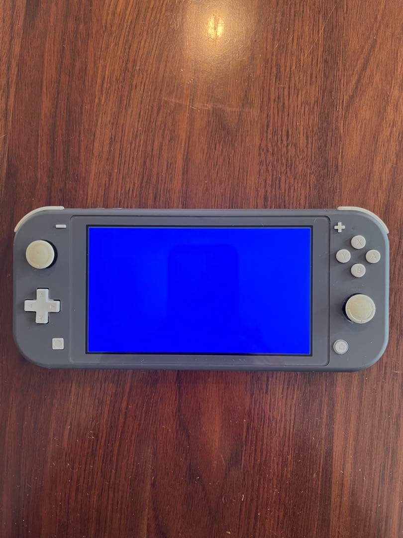 【ジャンク品】Nintendo Switch Lite 本体(透明カバー付き)