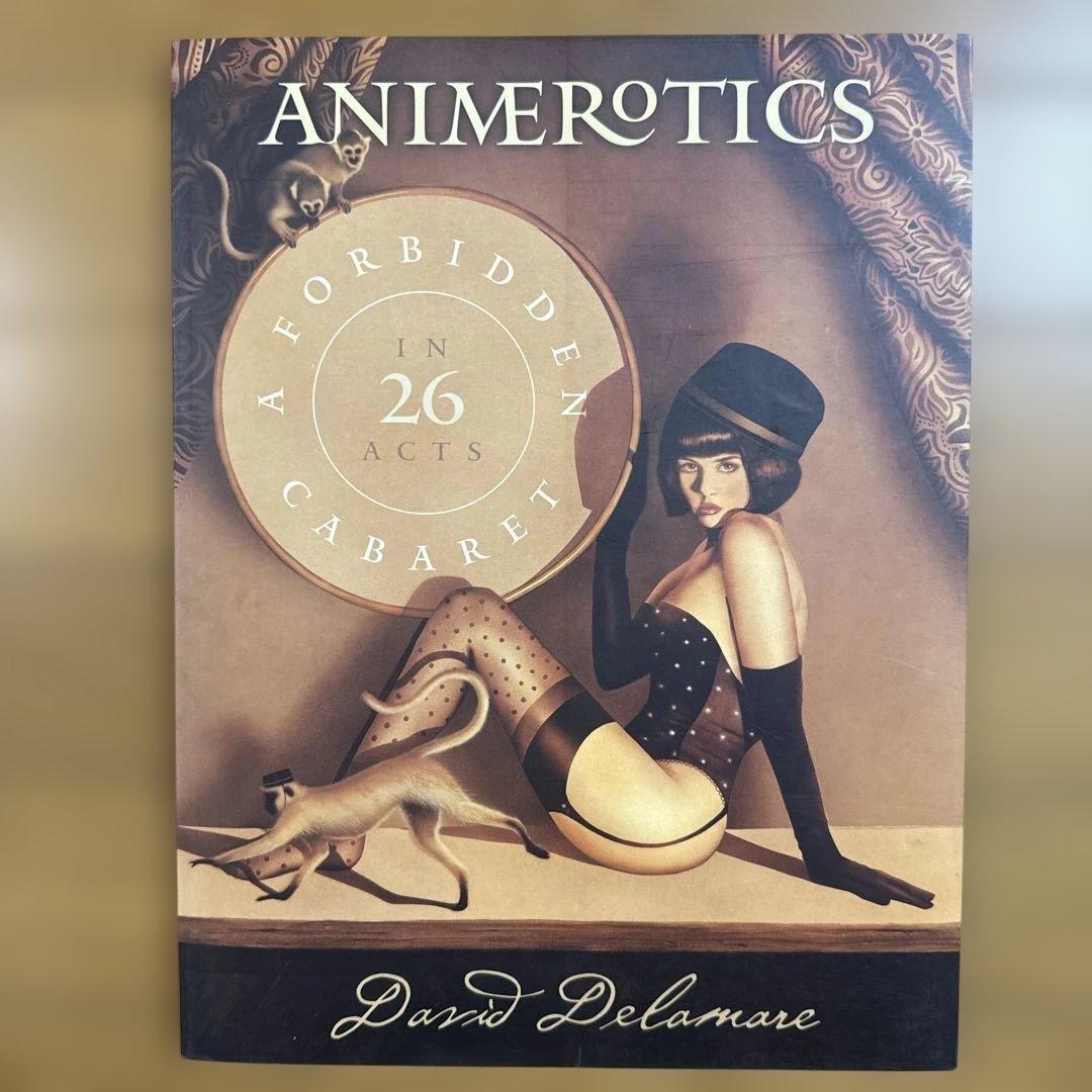 ANIMEROTICS / David Delamare 洋書 画集 アート