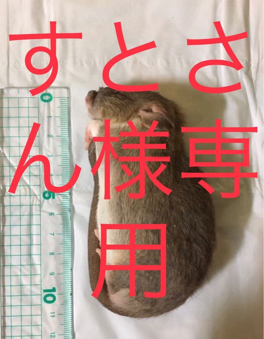 冷凍PS50 PM50 ADL50 S100