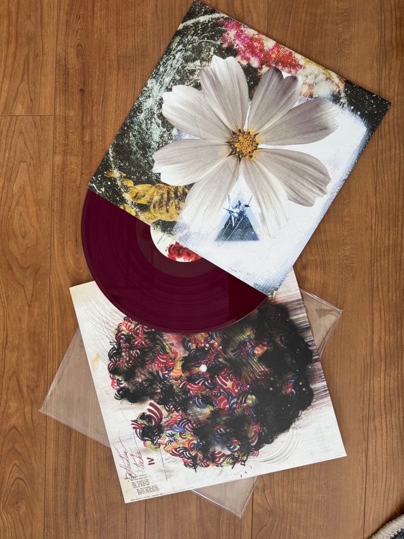 Teebs ティーブス レコード LP 2枚セット 洋楽レコード