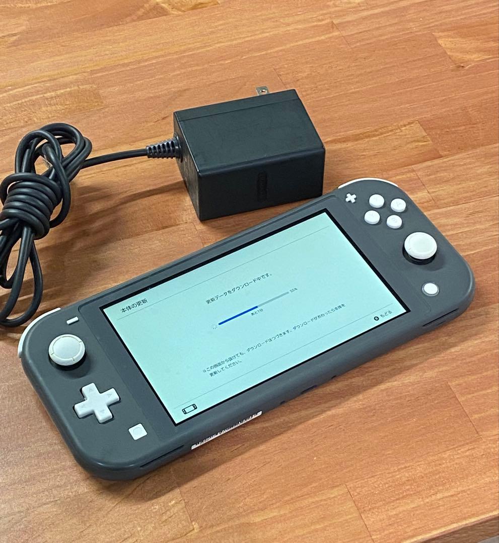 Nintendo Switch Lite 本体 グレー系 スイッチライト
