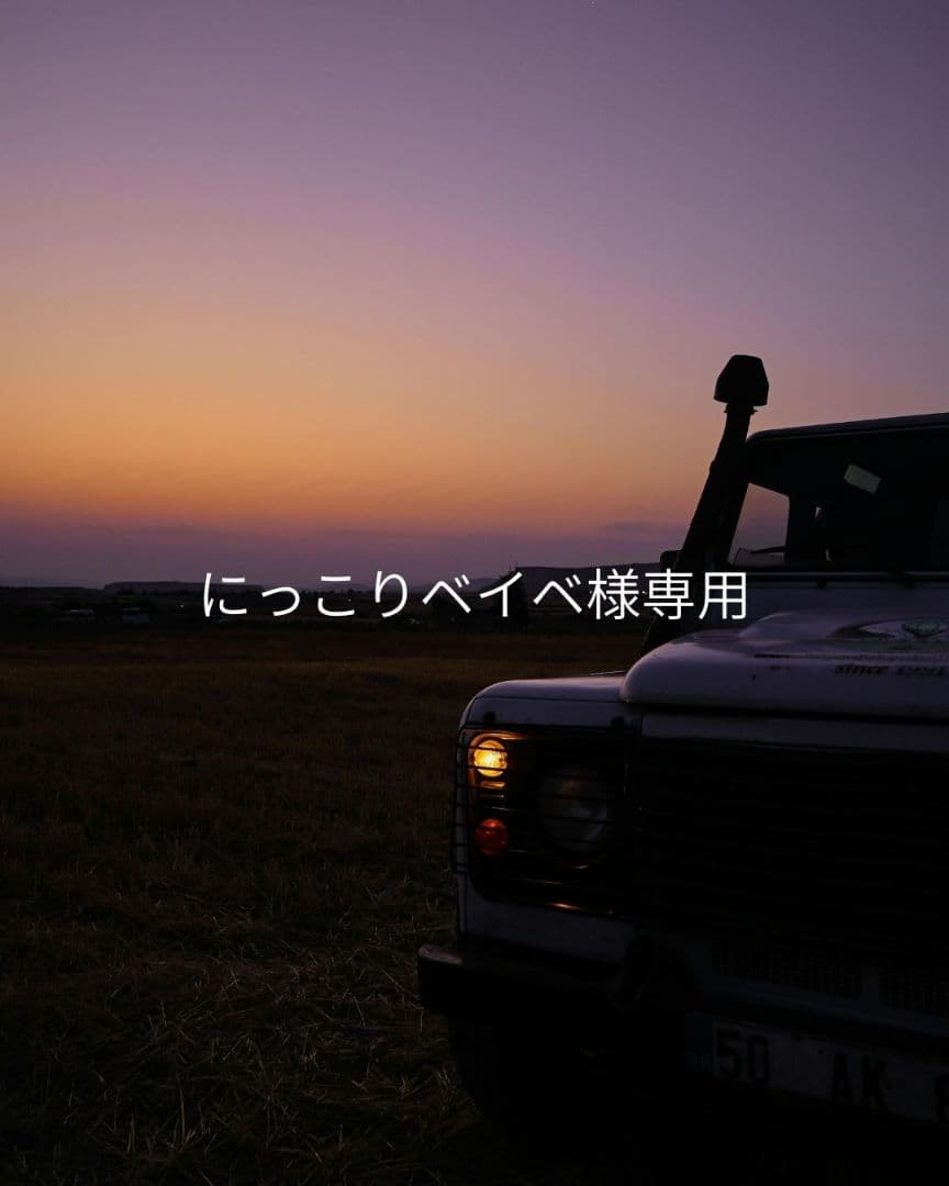 にっこりベイベさま専用