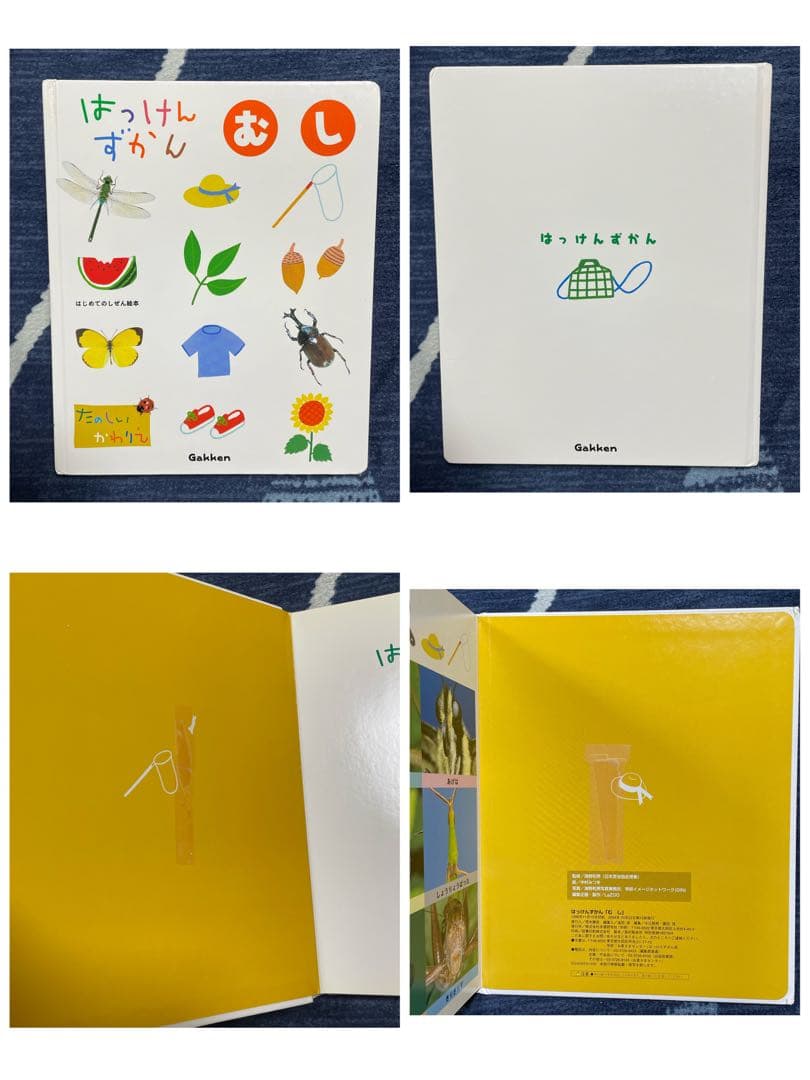 はっけんずかん/まどあけずかん　他　図鑑11冊セット