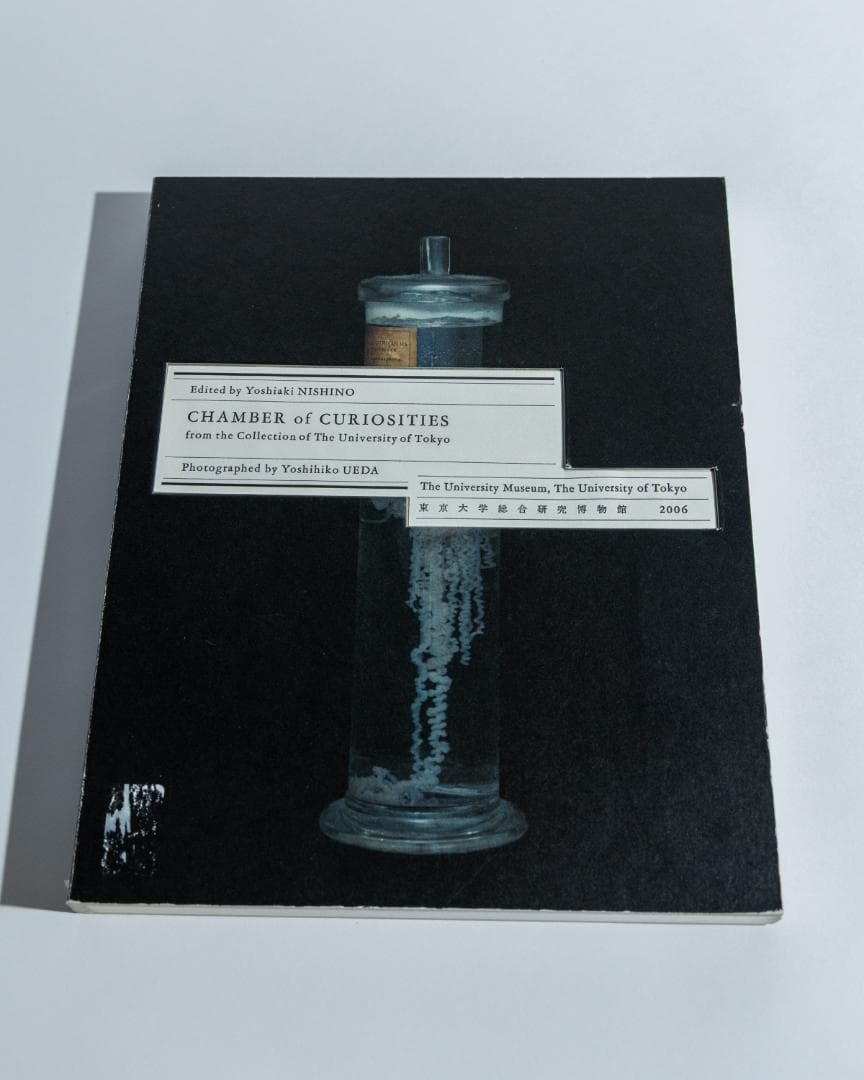 上田義彦「Chamber of Curiosities 」並品