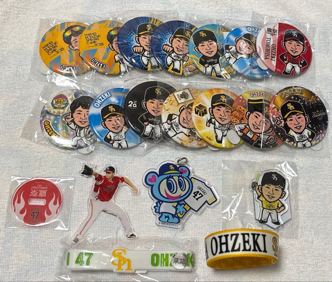 【優勝 SALE 特別価格】大関友久 まとめ売り