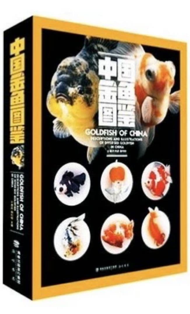 【未開封新品】シュリンク有　中国金魚図鑑・専門書