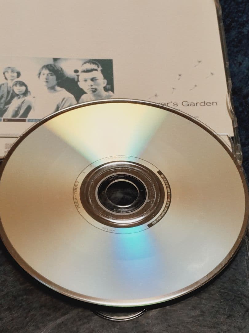 邦楽 Sunflower's Garden - Believe in tomorrow