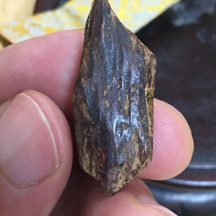 沈香 伽羅 香木 金札 緑油奇楠香