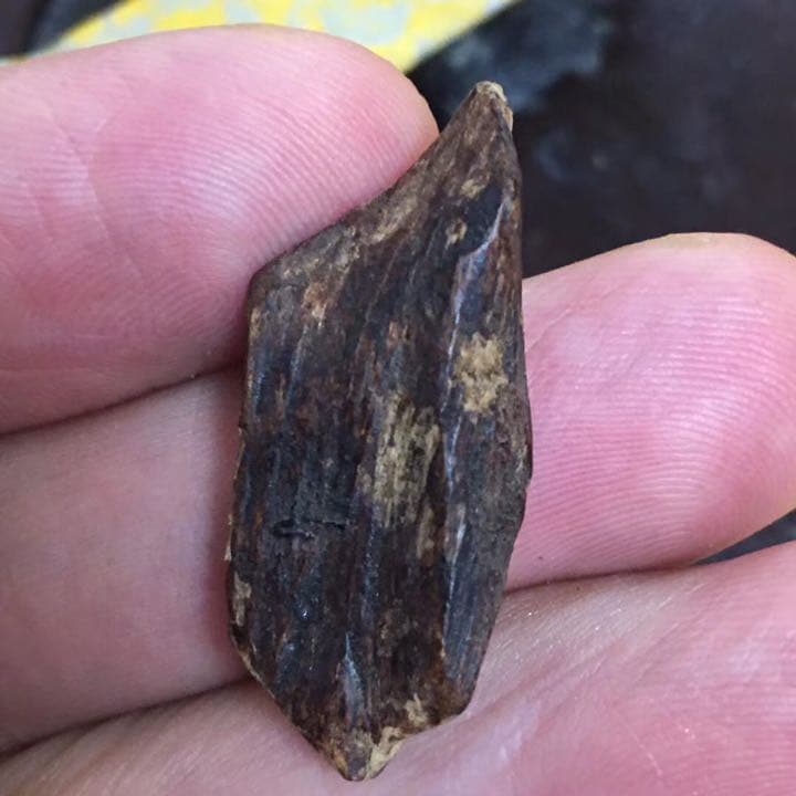 沈香 伽羅 香木 金札 緑油奇楠香