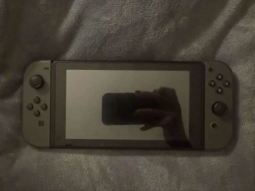 Nintendo switch 本体コントローラーのみ