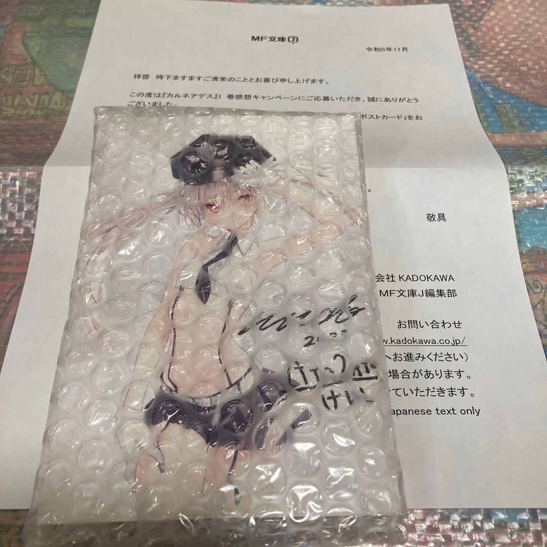 rurudo 綾里けいし　カルネアデス　直筆サイン入りポストカード　当選