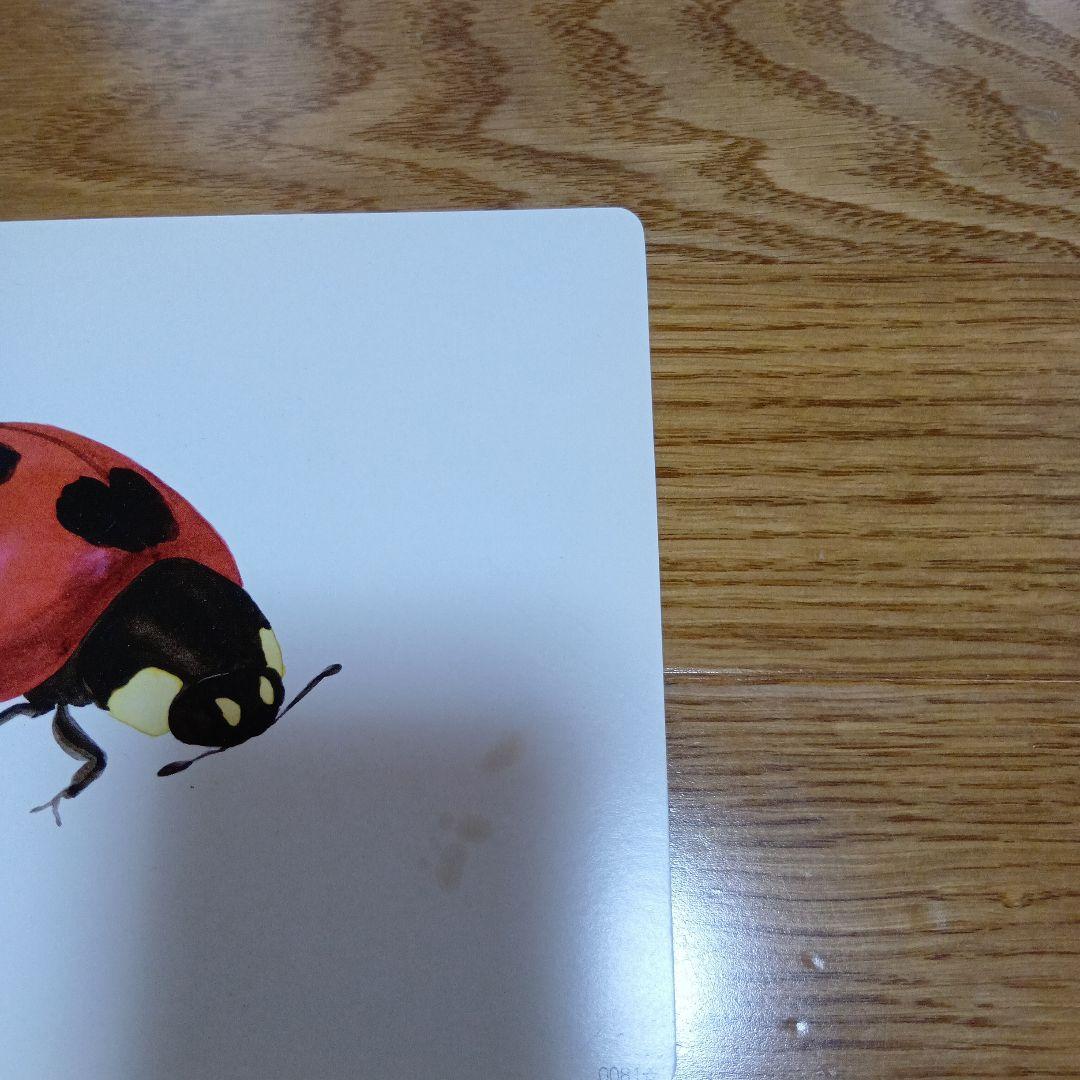 かな絵ちゃん 英語版 A 　B 七田式　フラッシュカード 専用CD