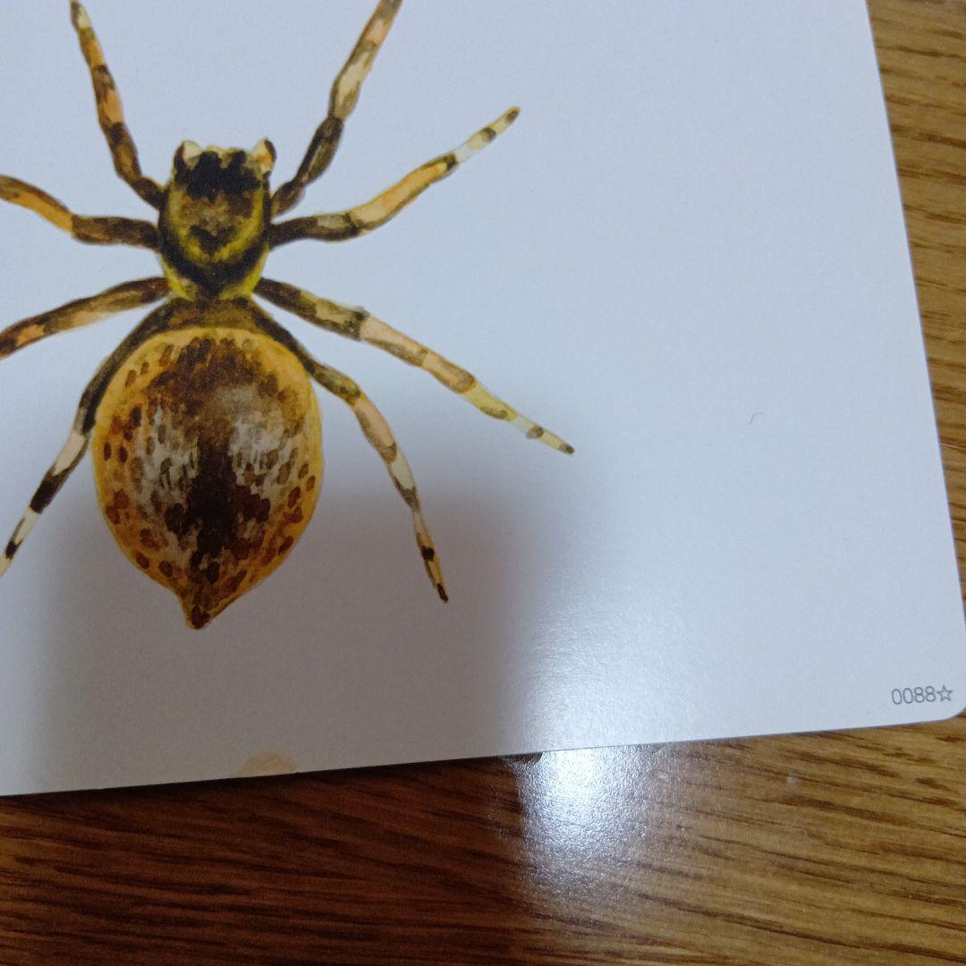 かな絵ちゃん 英語版 A 　B 七田式　フラッシュカード 専用CD