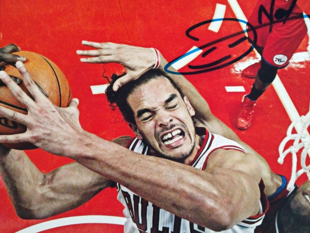 ジョアキム・ノア直筆サイン入り超 大型写真…Joakim Noah