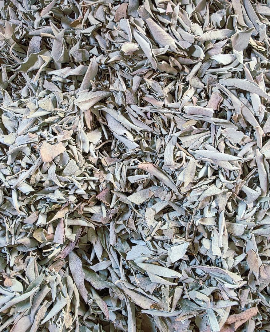 激安価格☆無農薬ホワイトセージ1kg箱入りお香浄化お徳用業務用