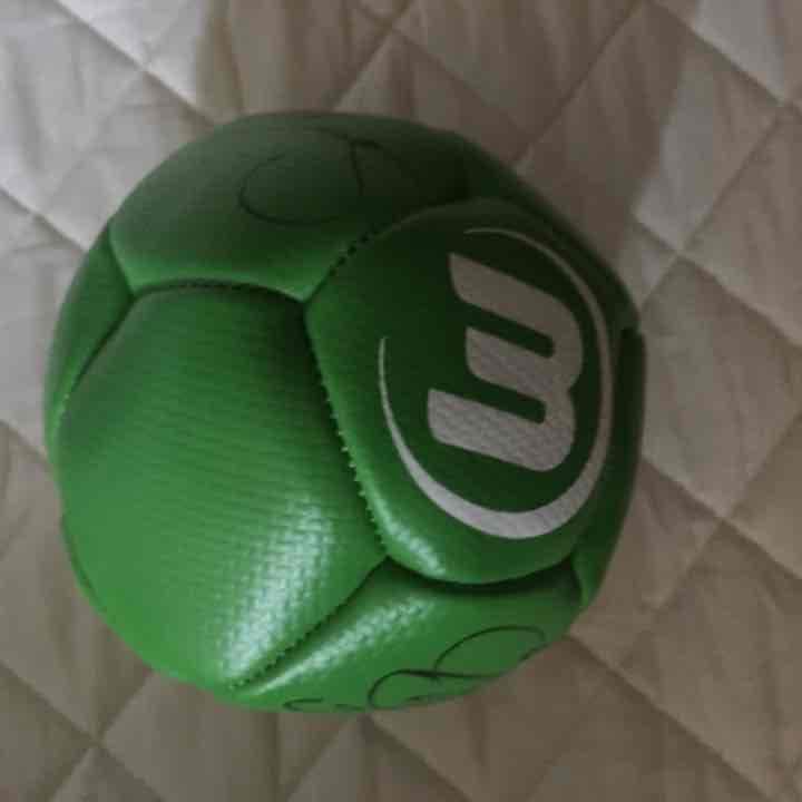 【スーパーレア】ウォルフスブルク サッカー 長谷部 酒井 サイン サインボール