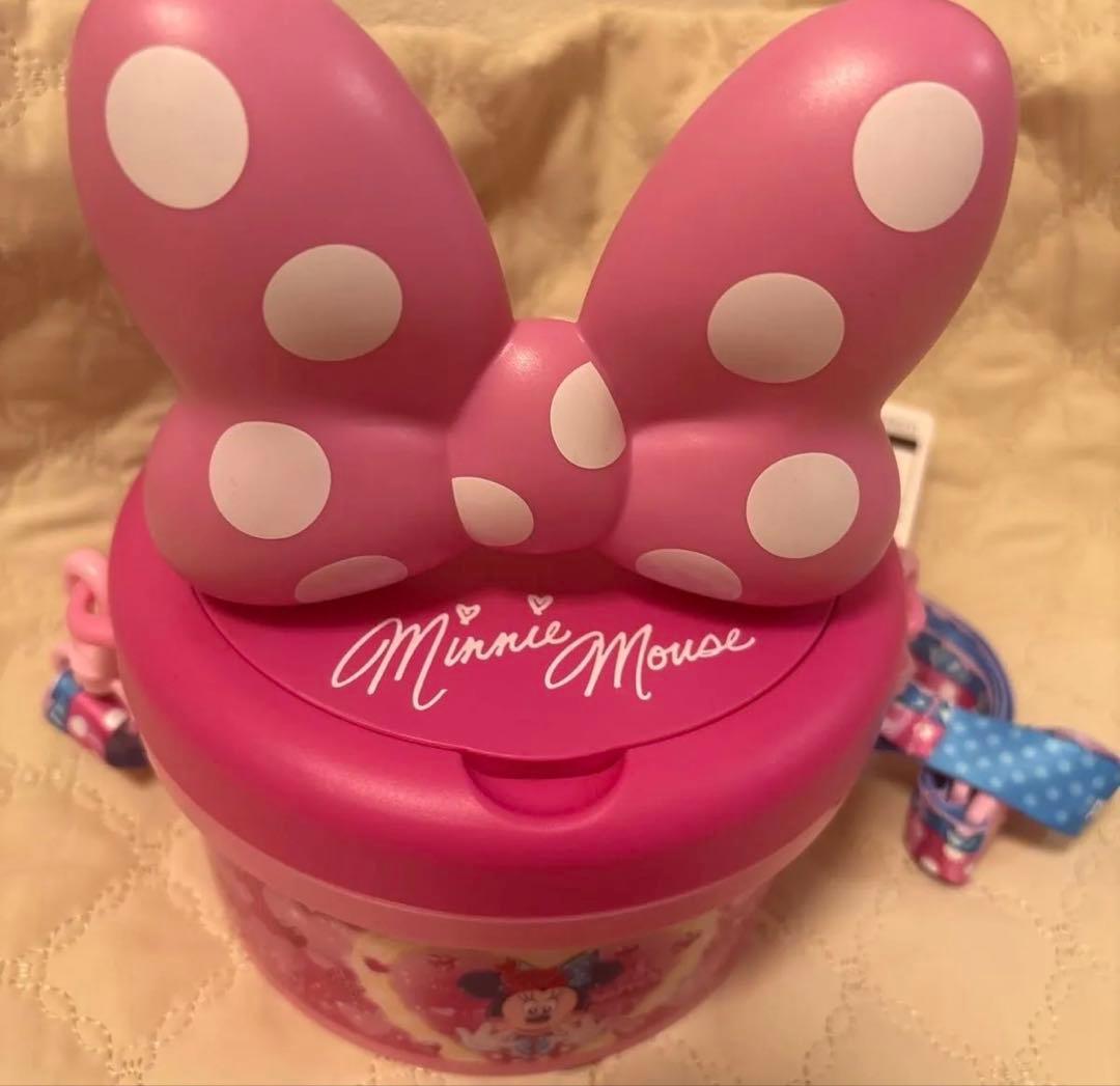 ディズニーランド ミニー パルパルーザ ミニパル ポップコーンバケット