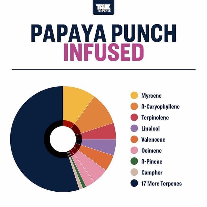 TRUE テルペン 香料 CBD CBN CBG 10ml レインボークッシュ