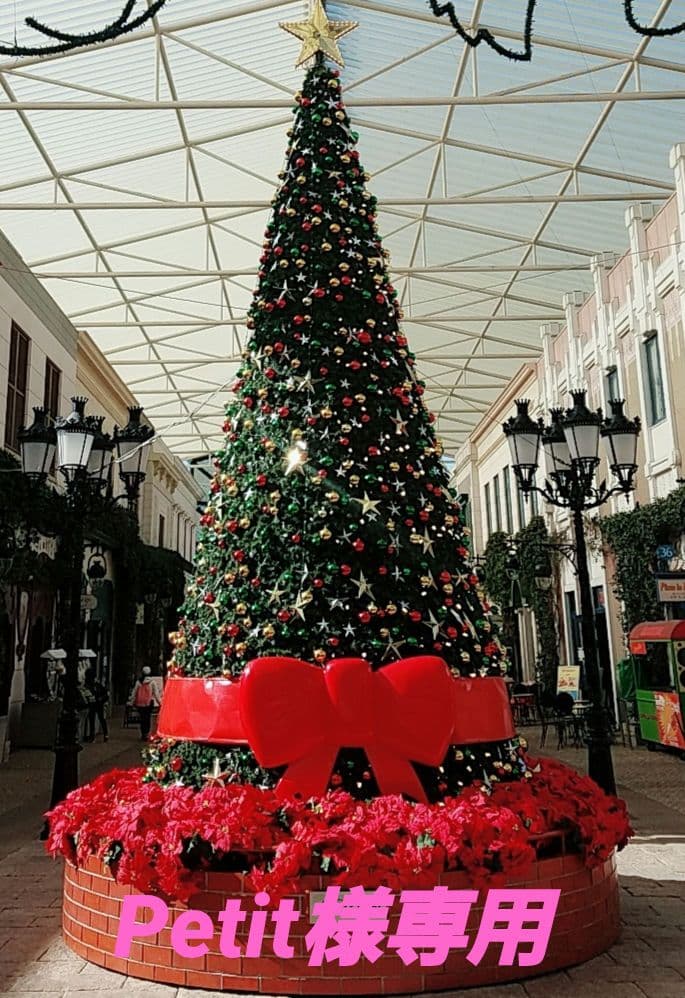 化粧水・ローション・トナー Petit