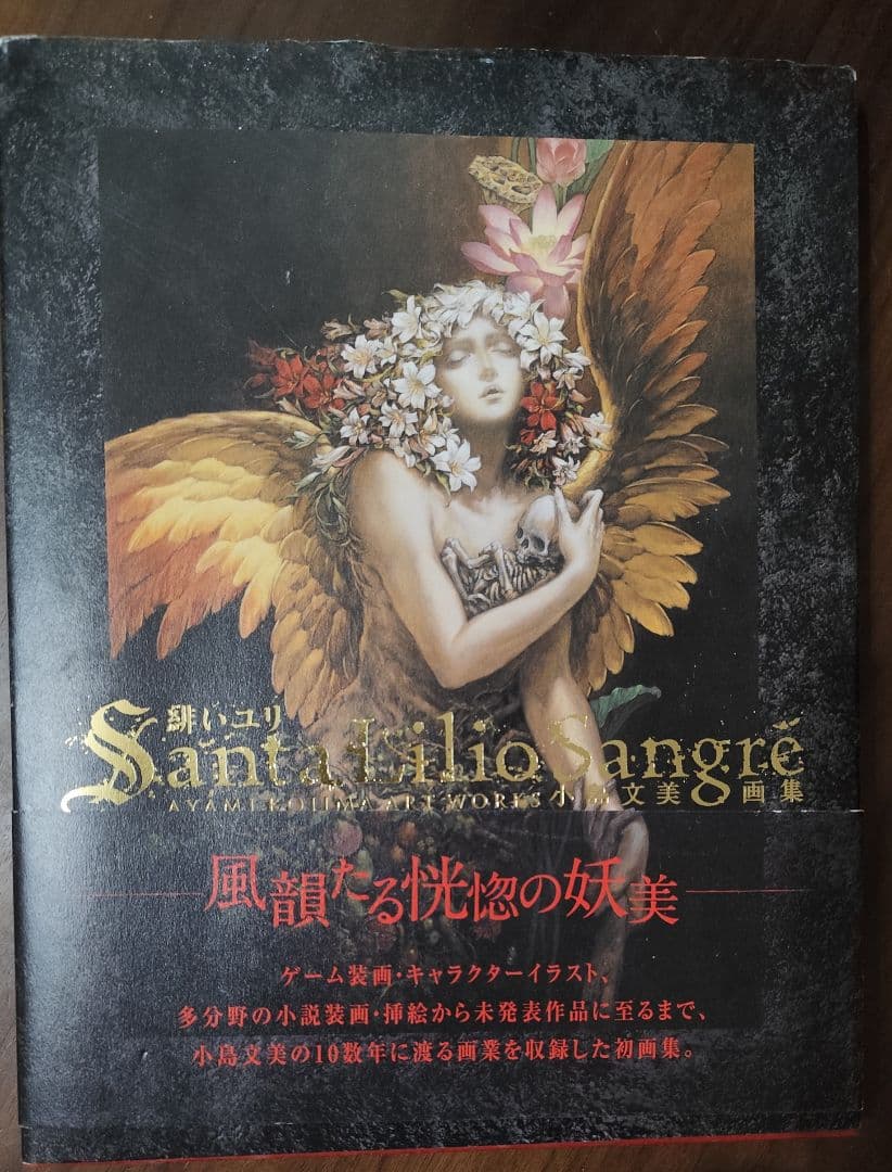 小島文美 画集 Santa Lilio Sangre 緋いユリ