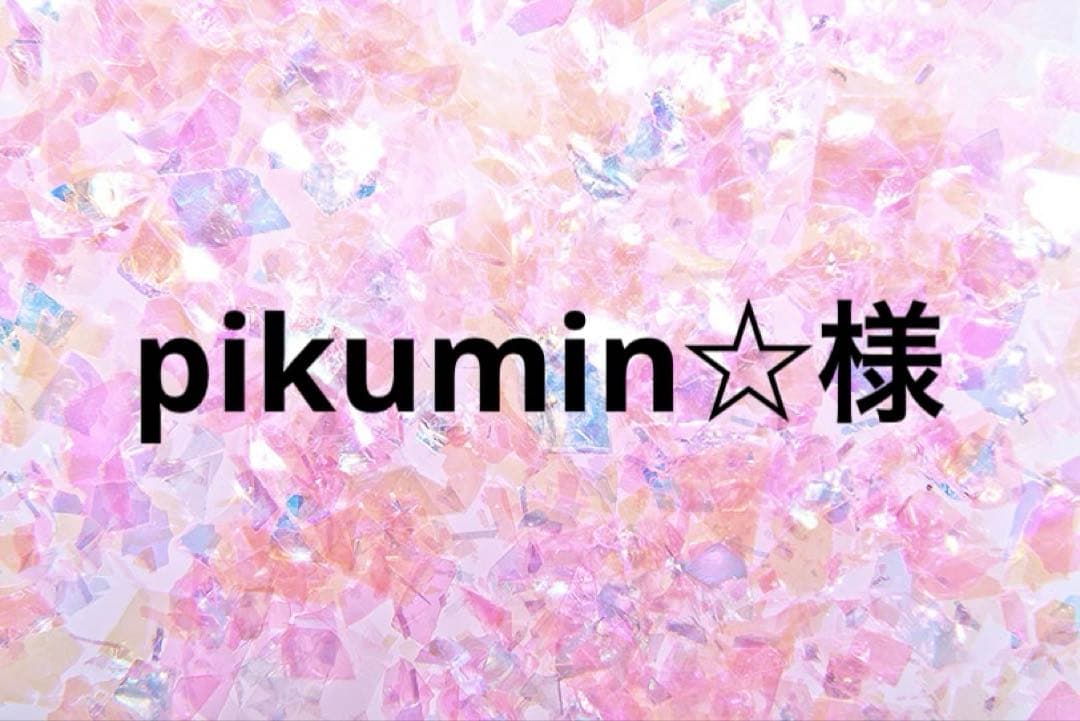 【匿名配送】pikumin☆様