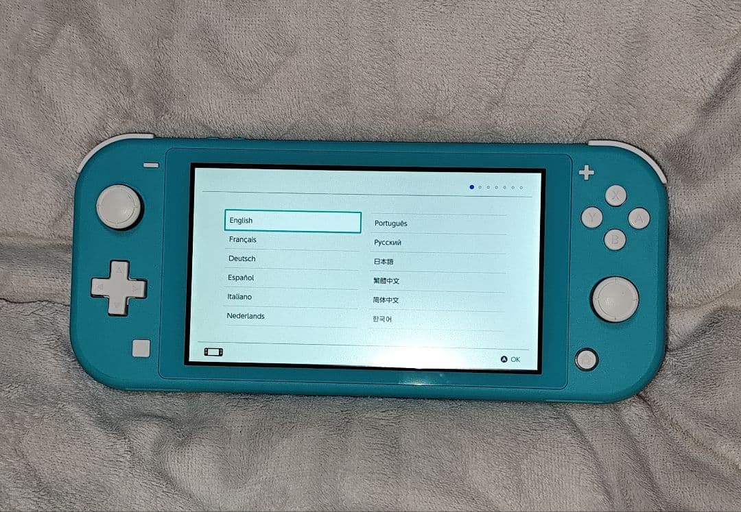 Nintendo Switch Lite ターコイズ 本体 + ケースなど
