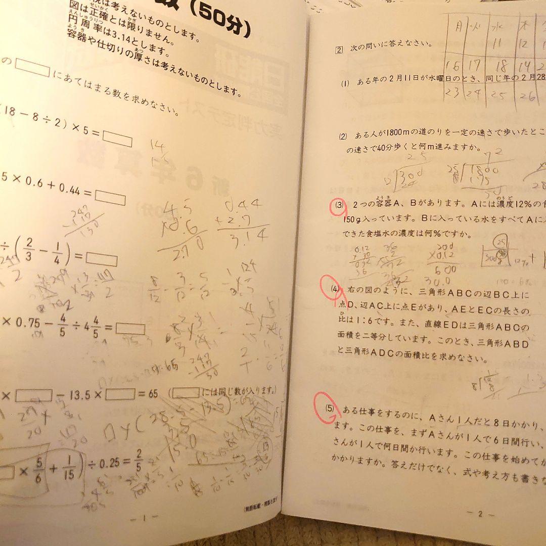 2025 日能研 2024年 6年生 育成 テスト 全国公開模試 実力判定テスト