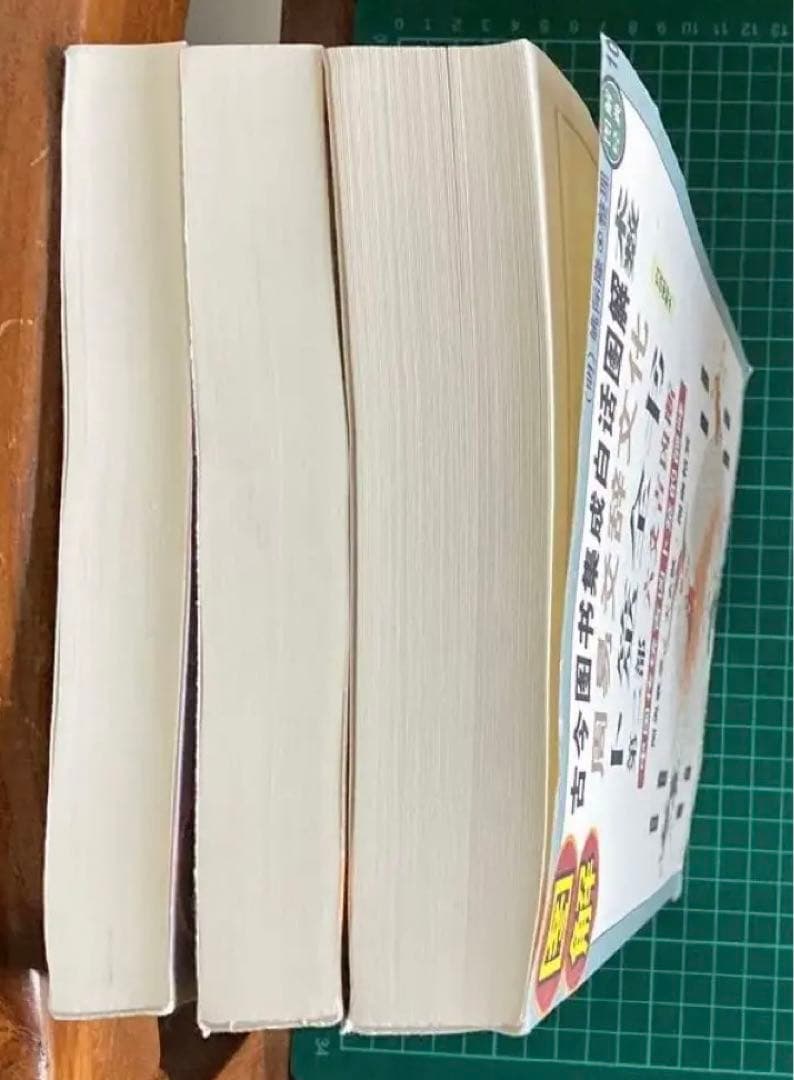 图解卜筮全书（全三册）中国语　五行易　易経　易　断易　易占　占い　六爻