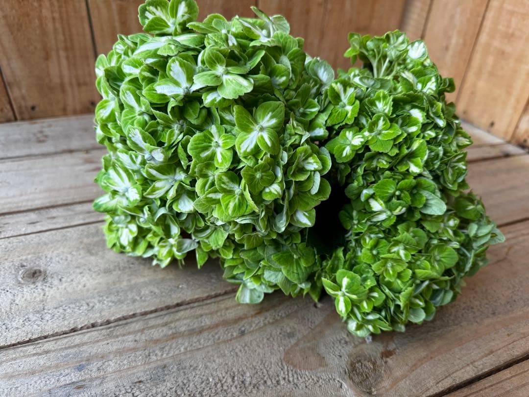 メル32265様 リクエスト 3点 まとめ商品