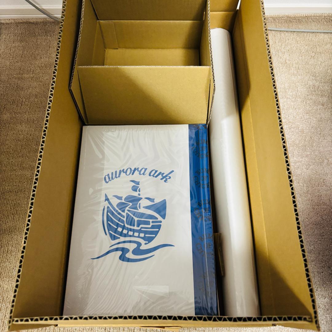 新品未開封★BUMPOFCHICKENauroraark Blu-ray初回限定