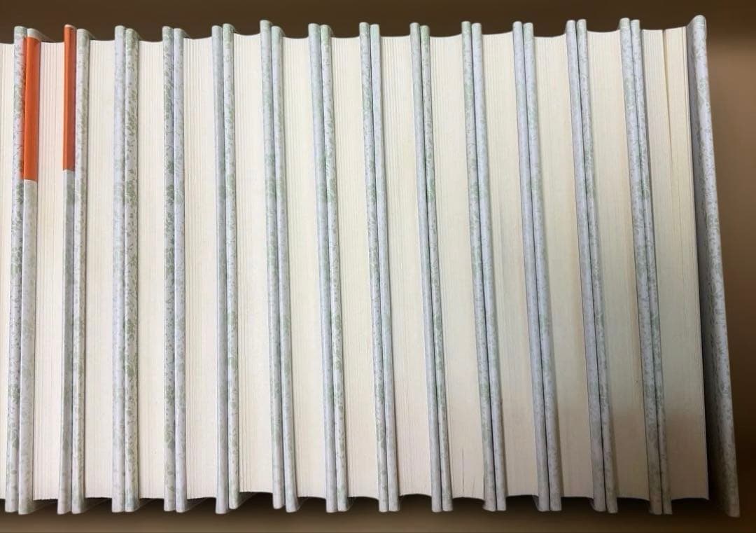 稀少‼️ 絶版❗️アボンリーへの道　全20巻セット