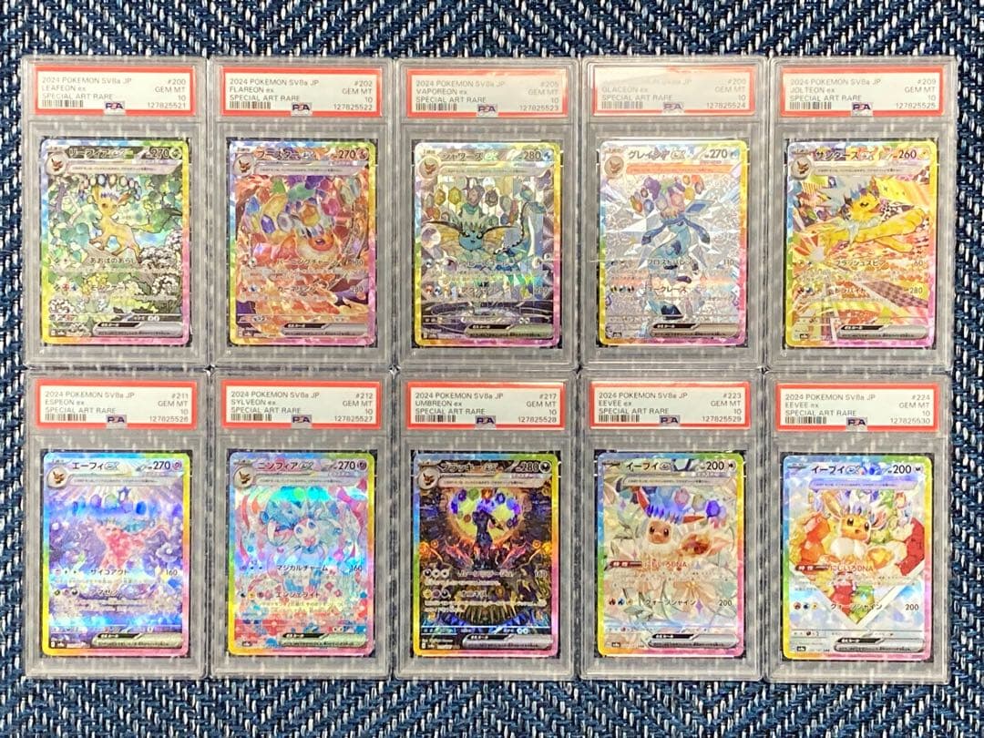 PSA10 10連番 テラスタルフェス ブイズex SAR