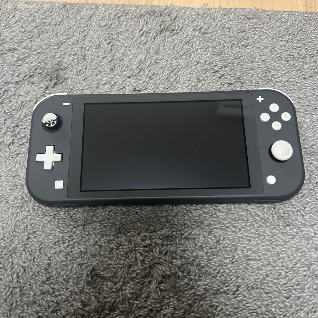 Nintendo Switch Nintendo Switch light GRAY