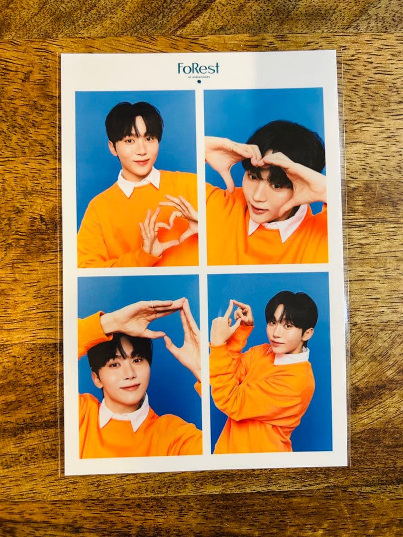 FoRest by Greenfinger　SEVENTEEN スングァン