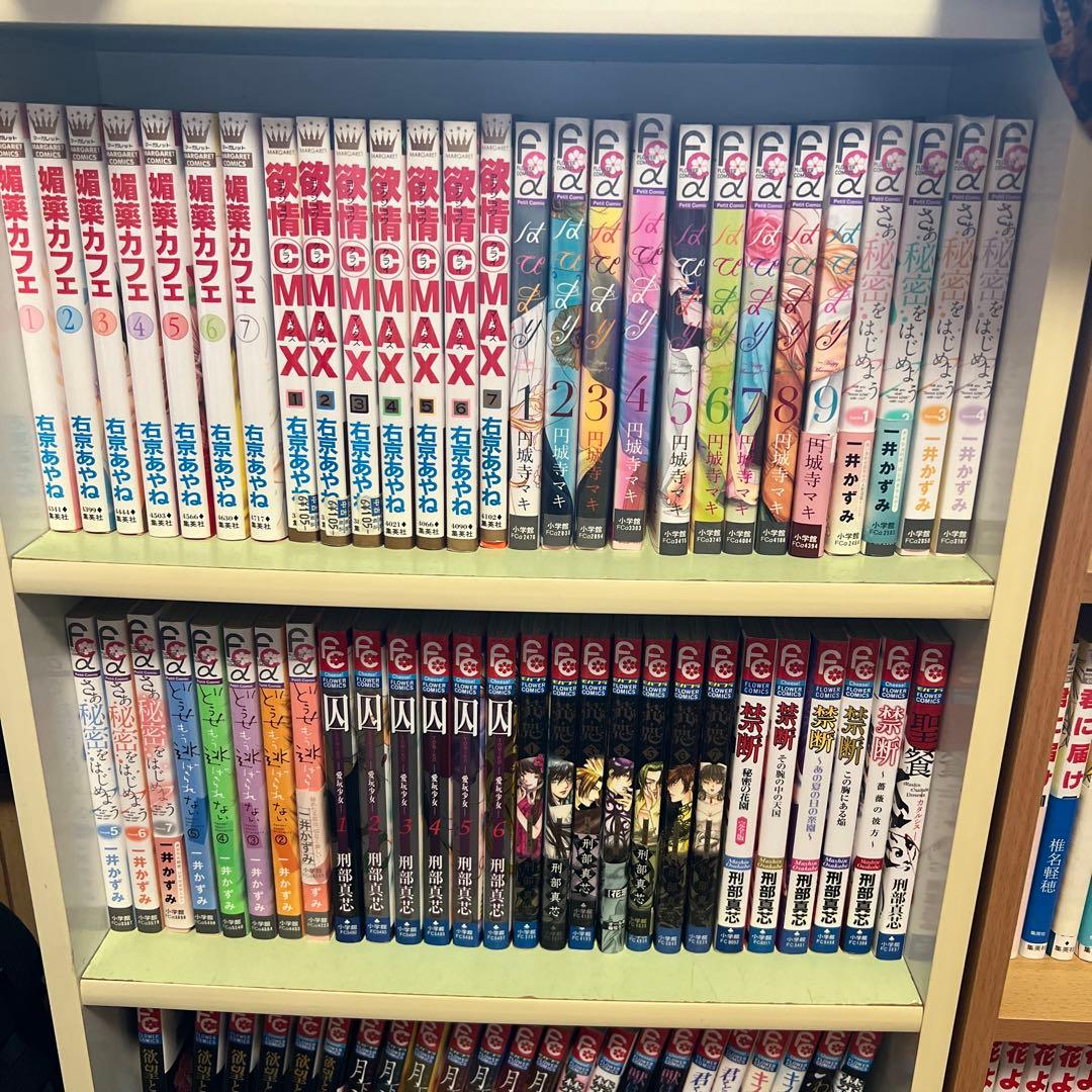 少女漫画セット 約100冊