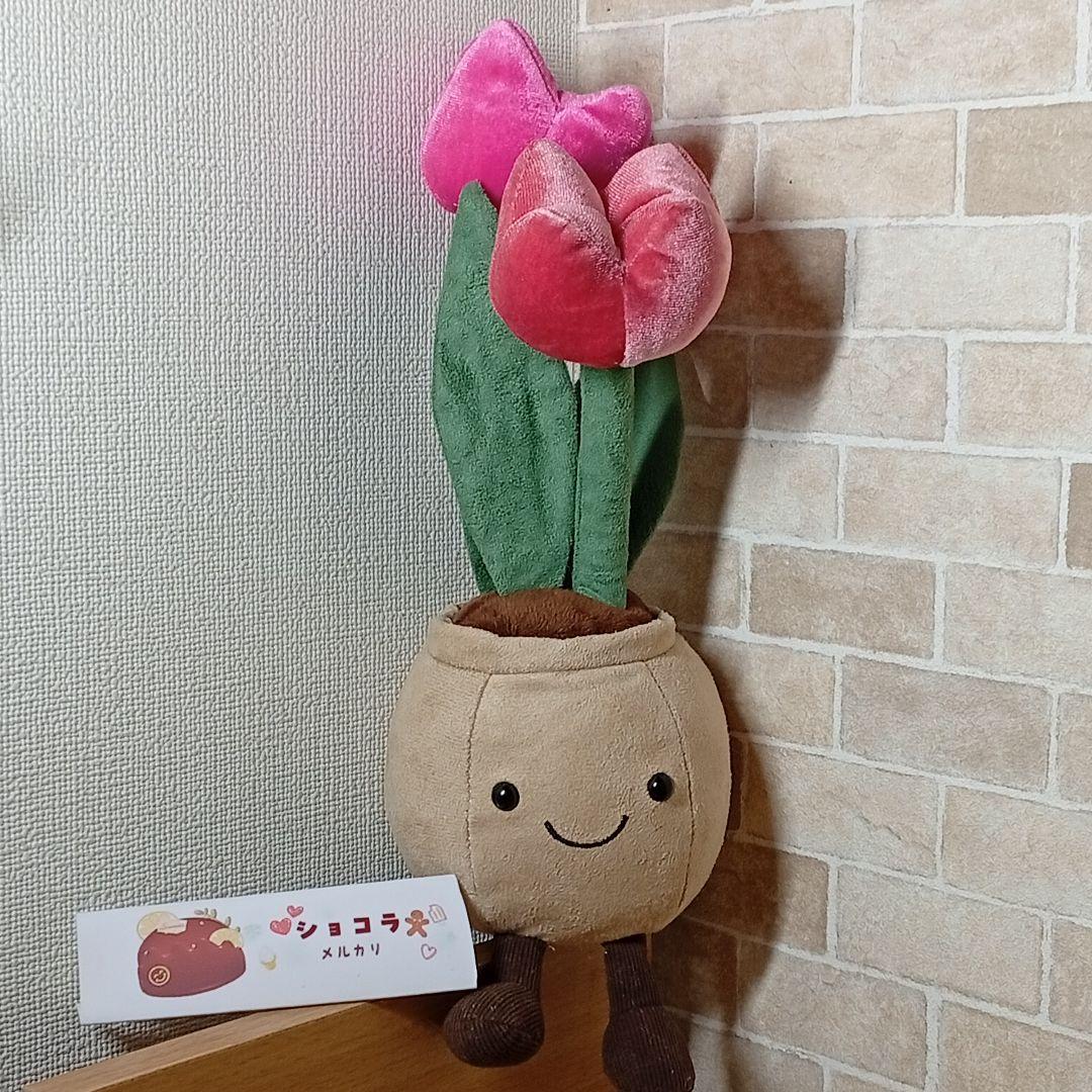  tulip pot　ジェリーキャット　チューリップ 花 植木鉢