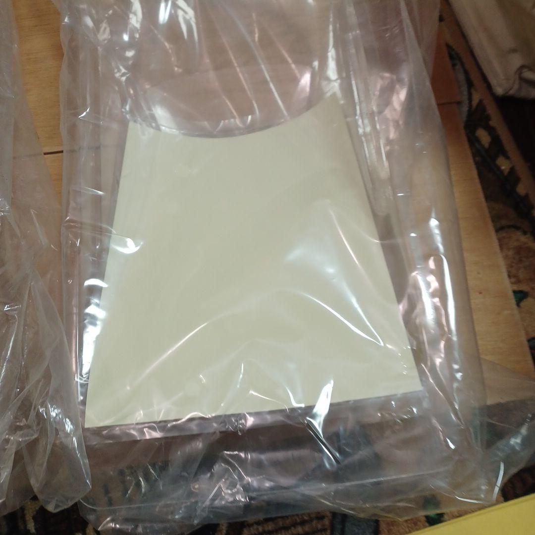 エンジンカー200ミリボディ　カワハラIS250 East ダッヂ2　ウィング付