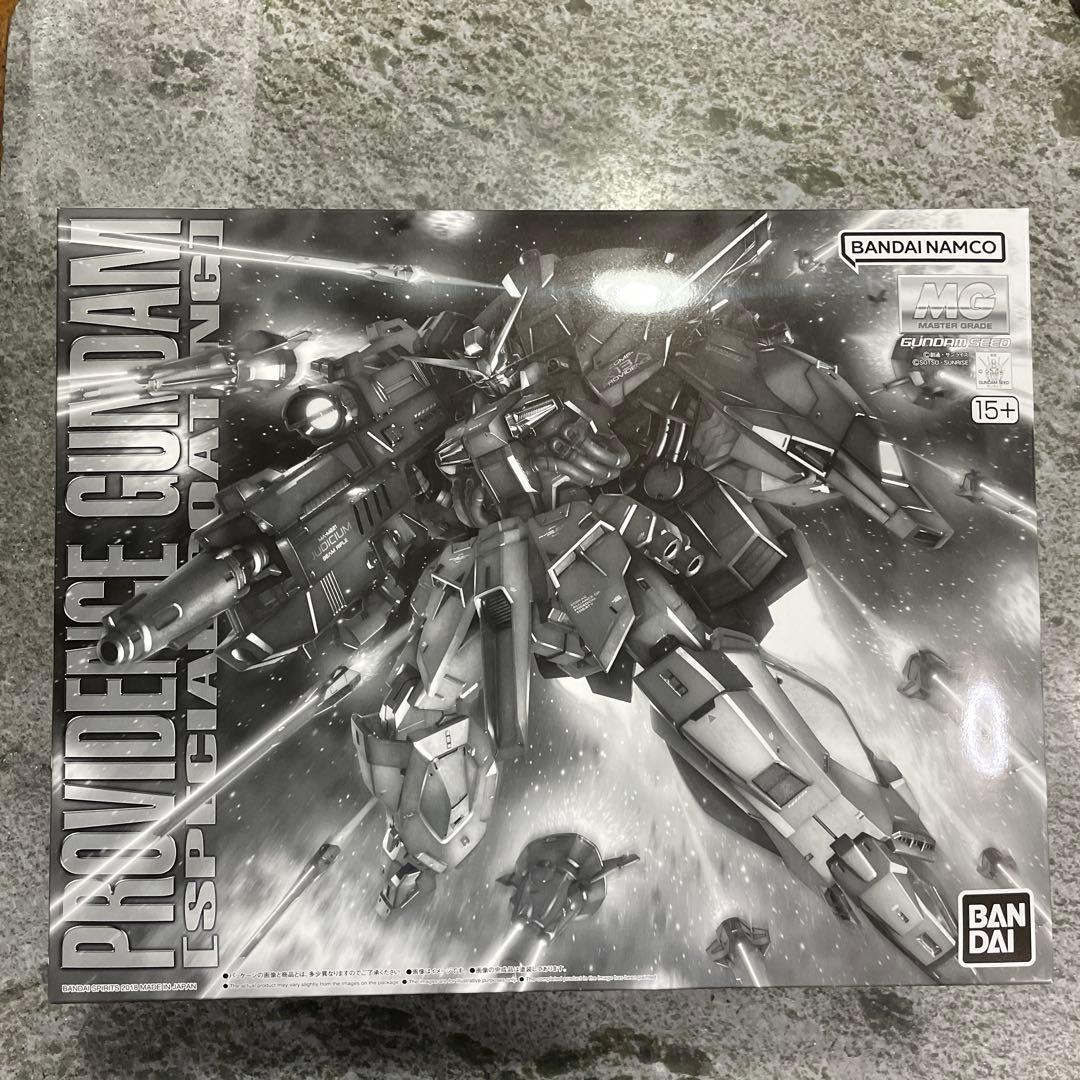 ＭＧ 1/100 プロヴィデンスガンダム 　スペシャルコーティング