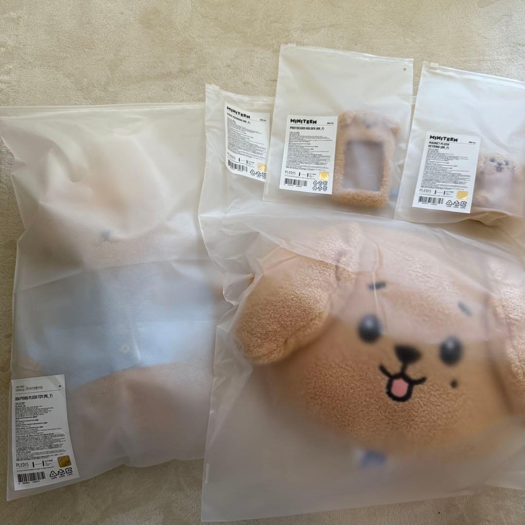 SEVENTEEN ドギョム miniteen doa アーティストメイド