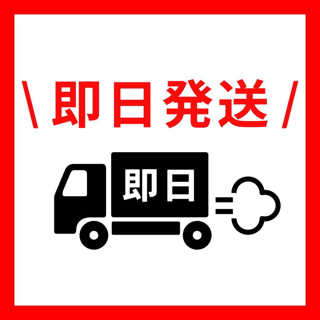 ガーベラ　10本セット