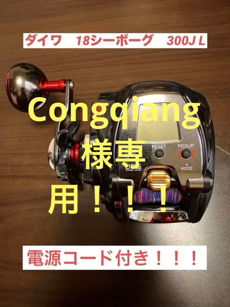 ダイワ　18シーボーグ　300J L