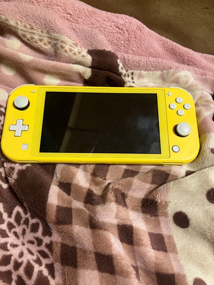 t*o様 Nintendo Switch Lite Nintendo Switc