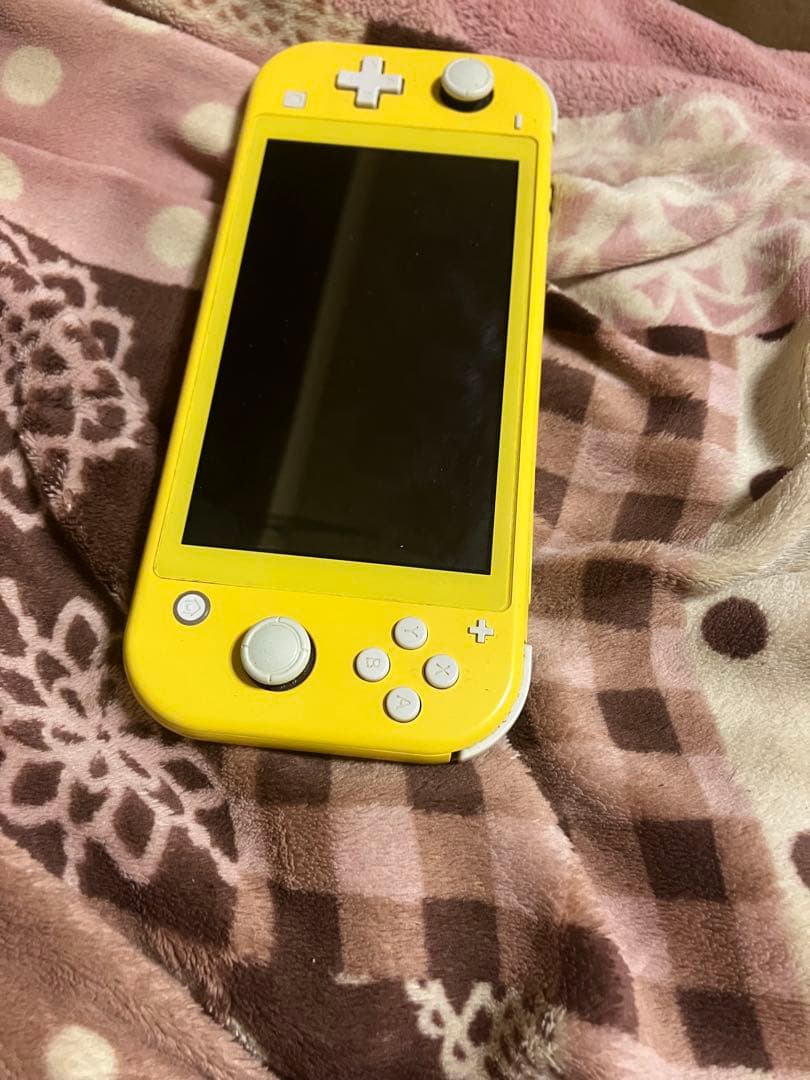 t*o様 Nintendo Switch Lite Nintendo Switc